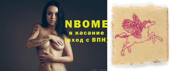 дурь Инсар