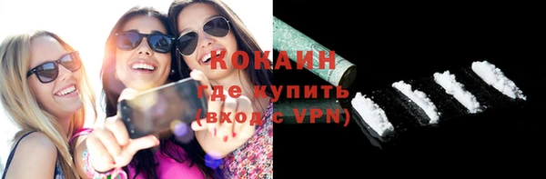 дурь Инсар