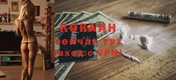 дурь Инсар