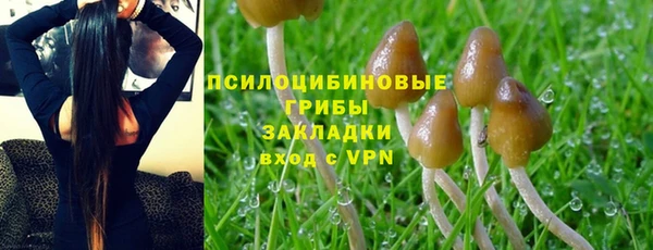 2c-b Инта