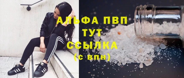 дурь Инсар