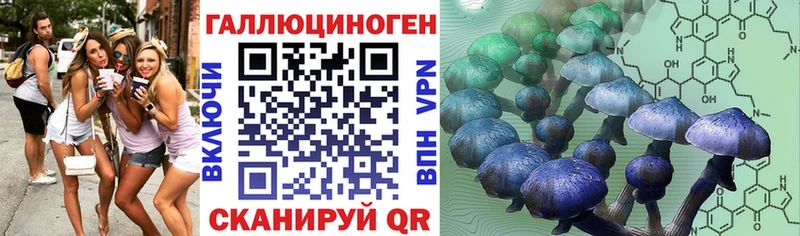 Галлюциногенные грибы GOLDEN TEACHER Лагань
