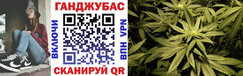 Купить  Лагань  МАРИХУАНА сатива 